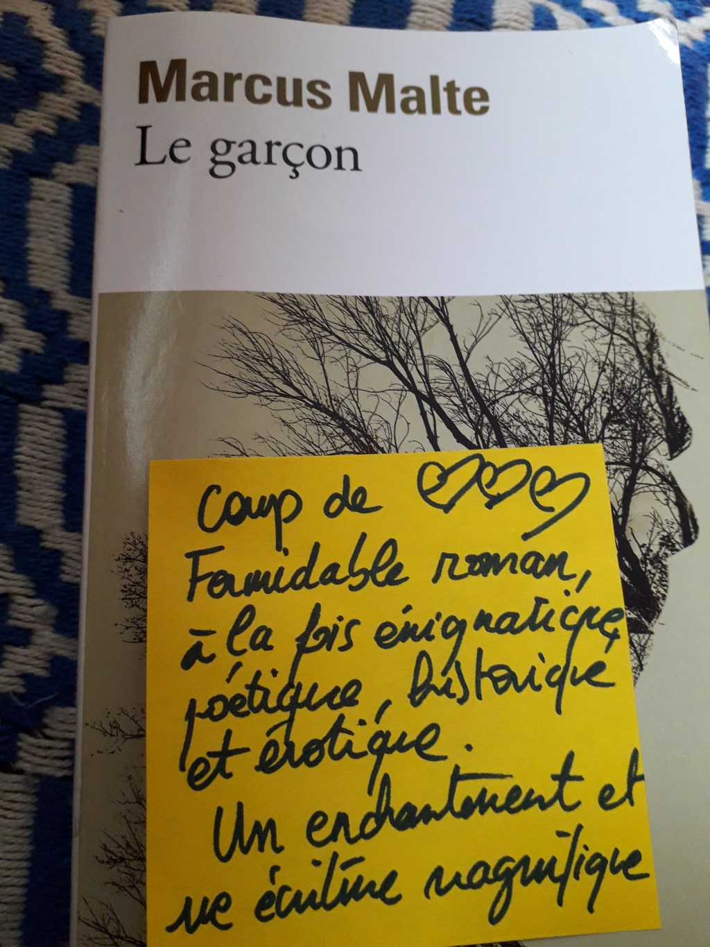 Le garçon de Marcus Malte