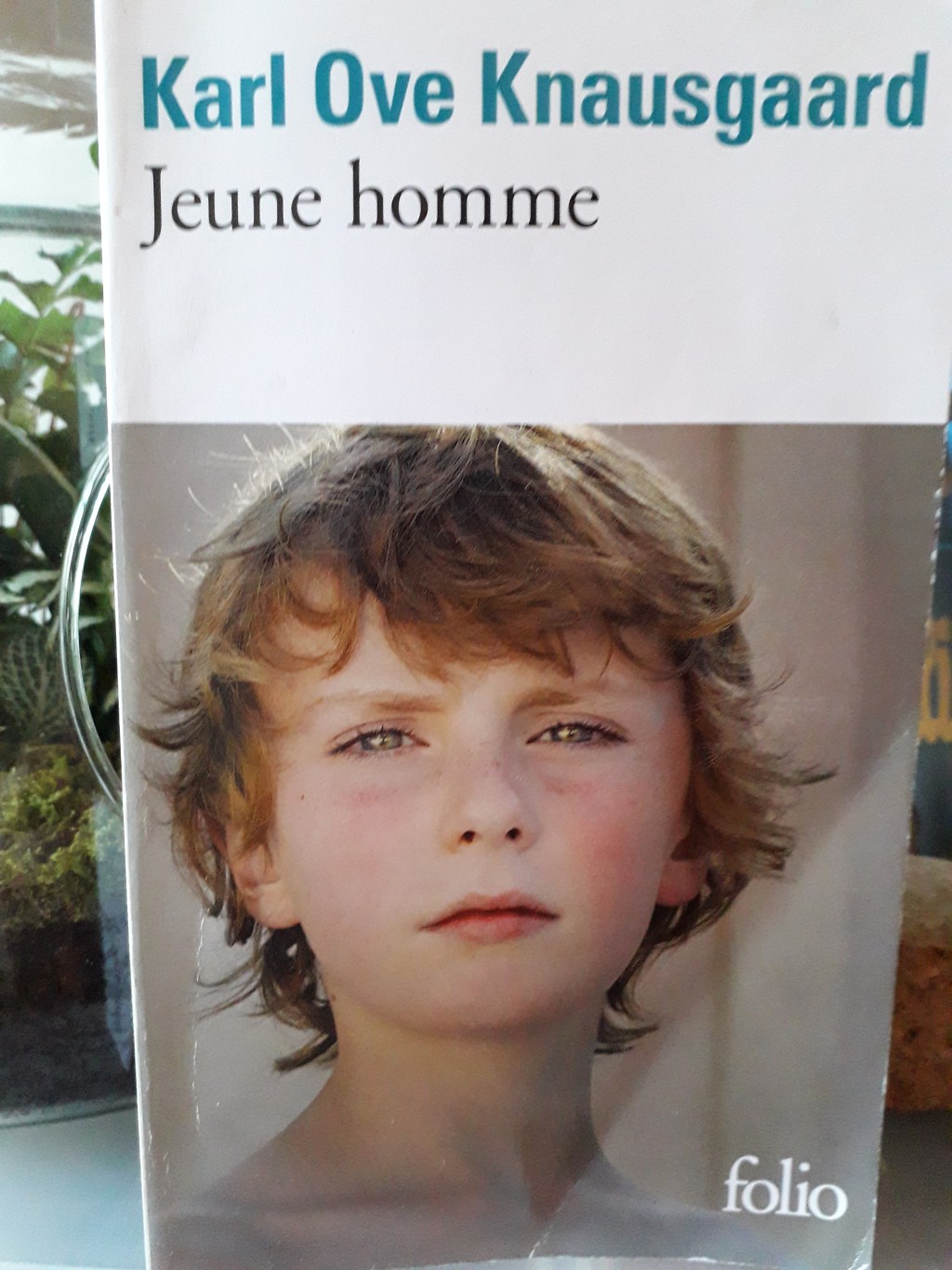 Jeune homme de Karl Ove Knausgaard Mon combat. livre III