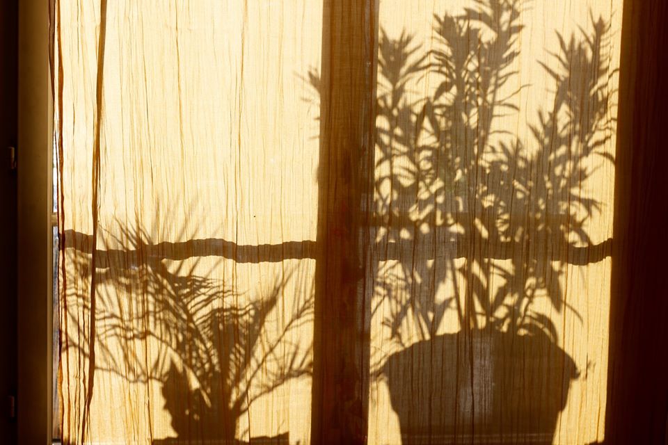 91025192_10157173055486662_5073558280224112640_o