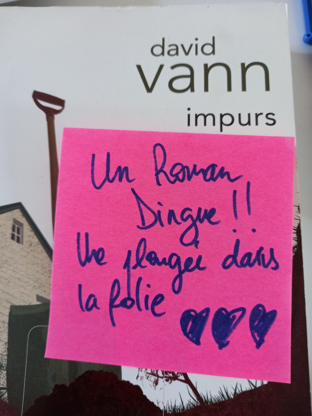 Impurs de David&nbsp;vann