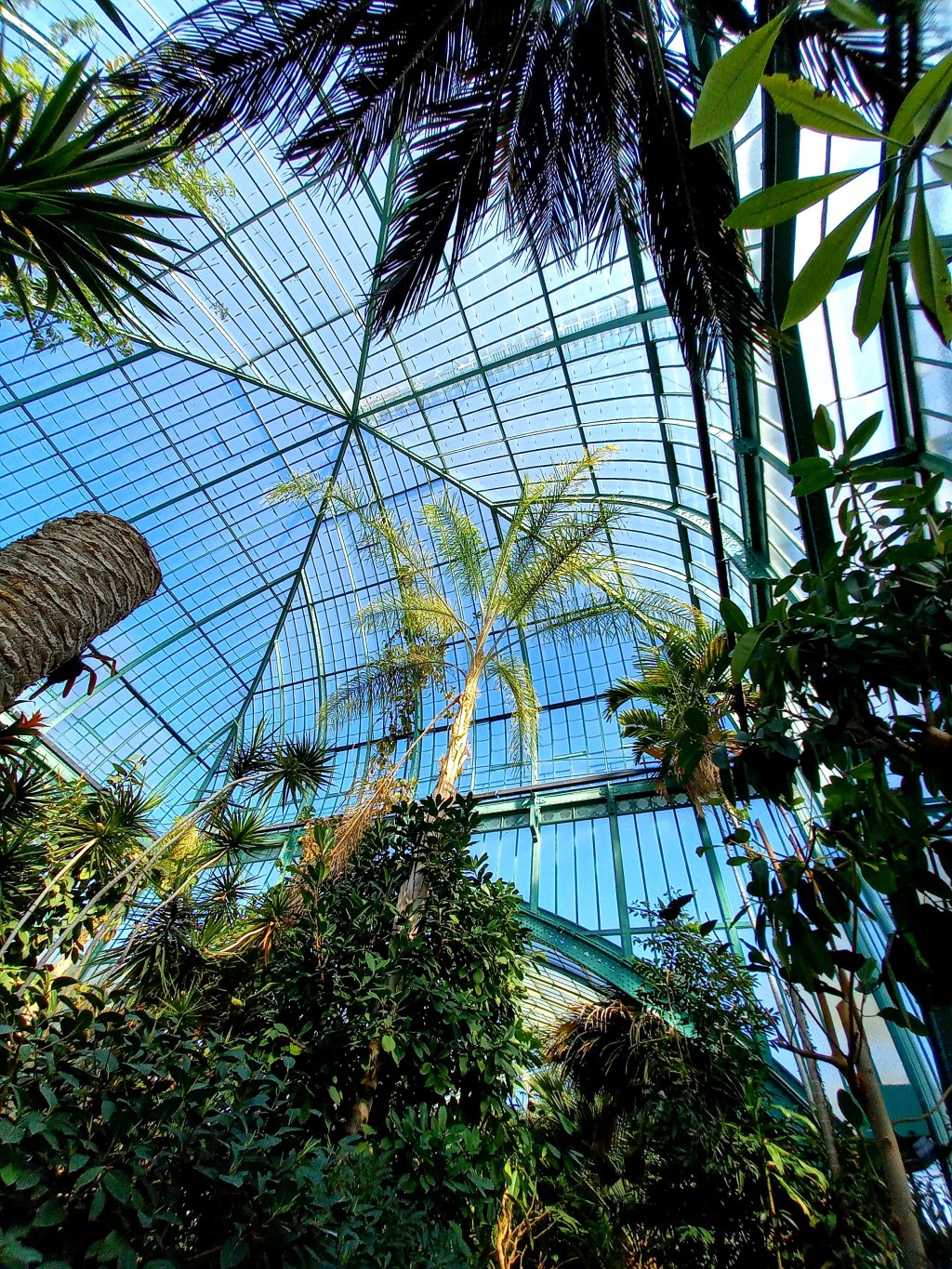 Au coeur des serres&nbsp;d&rsquo;Auteuil