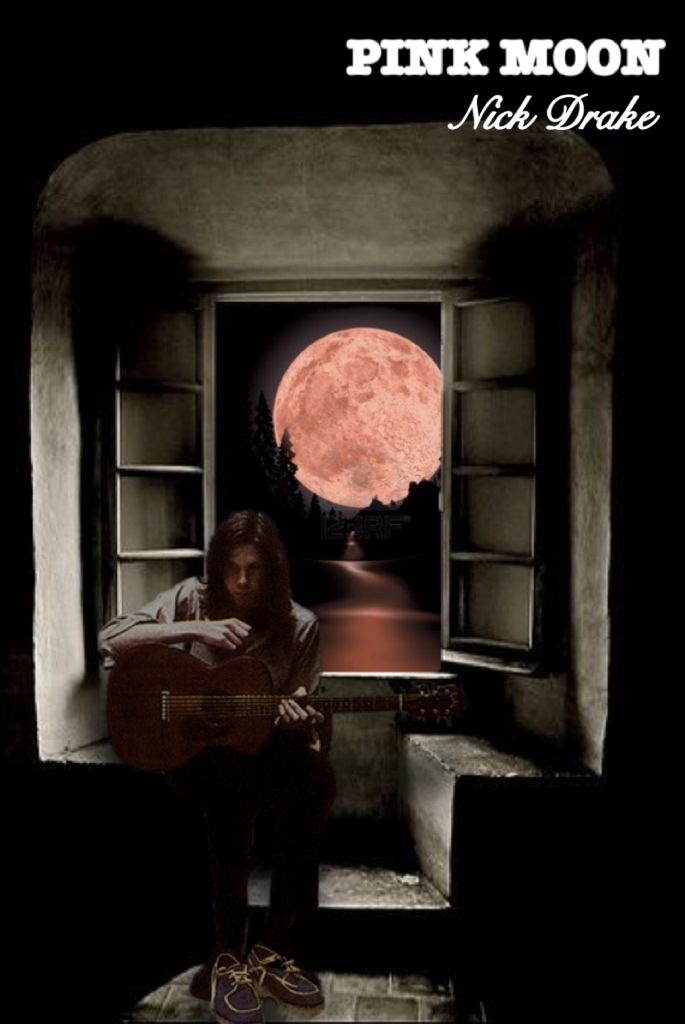 Pink moon de Nick&nbsp;Drake